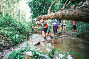 BIB: 
                            <button type="button" onclick="openModal(25517794)" class="btn btn-primary btn-sm float-right btn-popup" data-toggle="modal" data-target=".modal-high-quality">
                        <i class="fas fa-shopping-cart"></i> Add to Cart
                    </button>
                                            <button type="button" onclick="isThisMe(25517794, true)" class="btn btn-success btn-sm float-right btn-popup btn-isme hidden" data-toggle="tooltip" data-placement="bottom" title="นี่คือรูปของคุณใช่ไหม คลิกที่นี่เพื่อเอาเข้าอัลบั้ม">
                        <i class="fas fa-plus"></i> Add to album
                    </button>
                    <button type="button" onclick="isThisMe(25517794, false)" class="btn btn-warning btn-sm float-right btn-popup btn-isnotme hidden">
                        <i class="fas fa-ban"></i> Remove from album
                    </button>